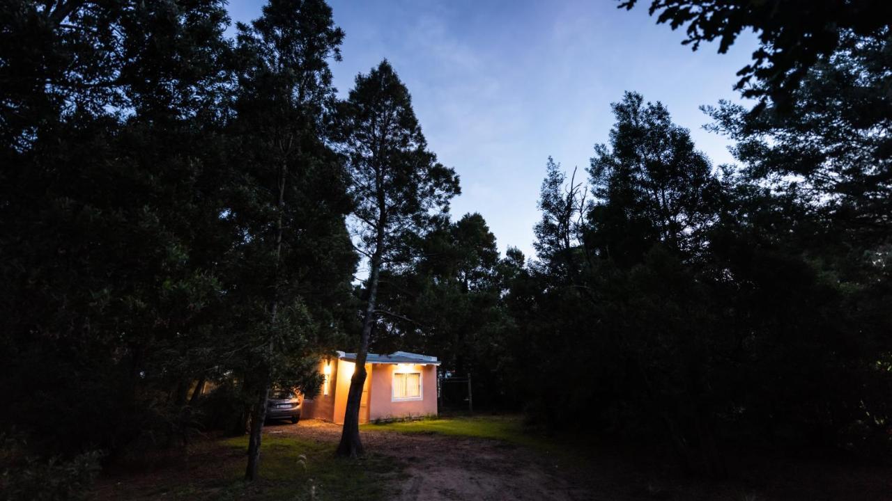 Nomeolvidesmas Apartment Tandil Exterior photo